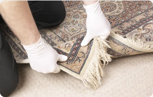 carpet cleaning inspection